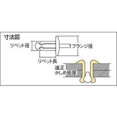 ■エビ　ブラインドリベット（１０００本入）　ステンレス／スティール　４－１　NSS4-1 NSS4-1