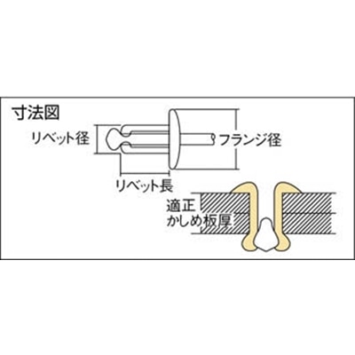 ■エビ　ブラインドリベット（１０００本入）　ステンレス／スティール　４－２　NSS4-2 NSS4-2