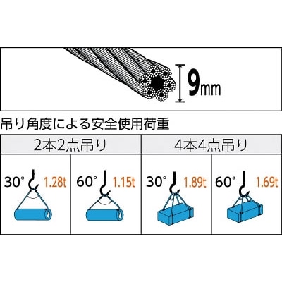 ■トラスコ中山(TRUSCO)　玉掛けワイヤーロープ　段落し　９ｍｍＸ３ｍ　TWD-9S3 TWD-9S3