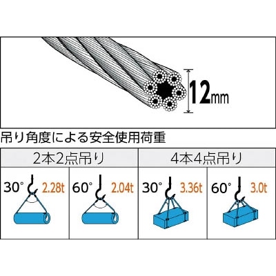 ■トラスコ中山(TRUSCO)　玉掛けワイヤーロープ　段落し　１２ｍｍＸ８ｍ　TWD-12S8 TWD-12S8