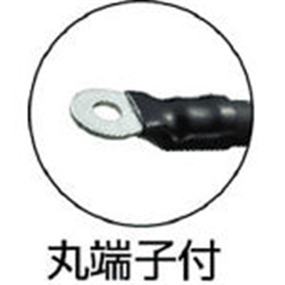 トラスコ中山(TRUSCO)　溶接機用ケーブル　２次側　１０ｍ　TWC-2210 TWC-2210