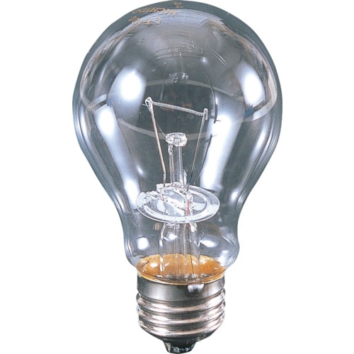 ■日動　耐震球　クリア耐震球　１１０Ｖ１００Ｗ　CT100