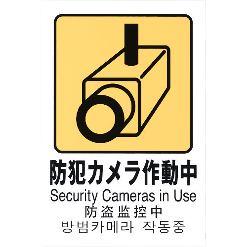 ■光　多国語ピクトサイン　防犯カメラ作動中 TGP20328