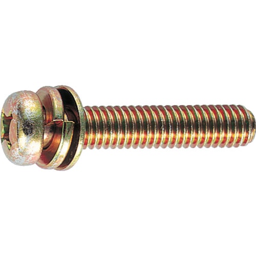 ■トラスコ中山(TRUSCO)　ナベ頭組込ネジ　クロメートＰ‐４　サイズＭ６Ｘ１０　５０本入  B51-0610