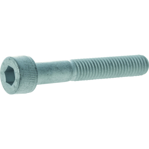 ■ＴＲＵＳＣＯ　１４．９超強度六角穴付ボルト　スチ－ル・デルタプロテクト　半ねじ　Ｍ１０Ｘ４５　２本入 Y149D1045