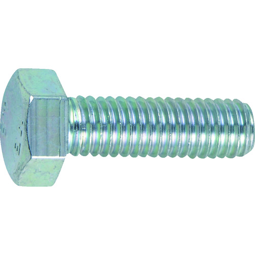 ■ＴＲＵＳＣＯ　六角ボルト　三価　白　全ねじＭ２０ｘ４５　２本入 B7222045