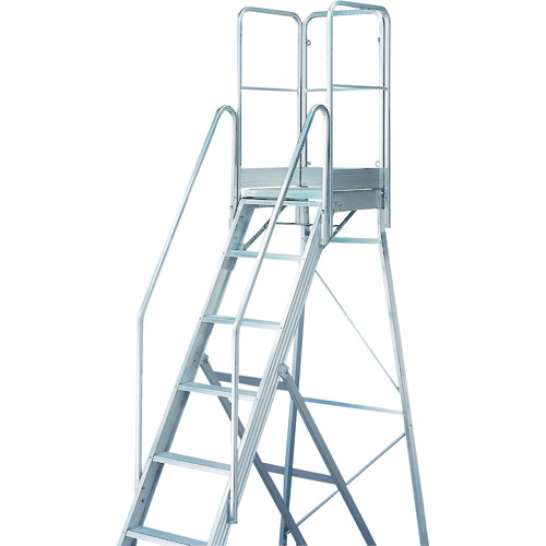 ■ＴＲＵＳＣＯ　ＴＤＡＤ用フルセット手すり　高さ９００ｍｍ　本体高さ２．１０ｍ用 TDADTF210