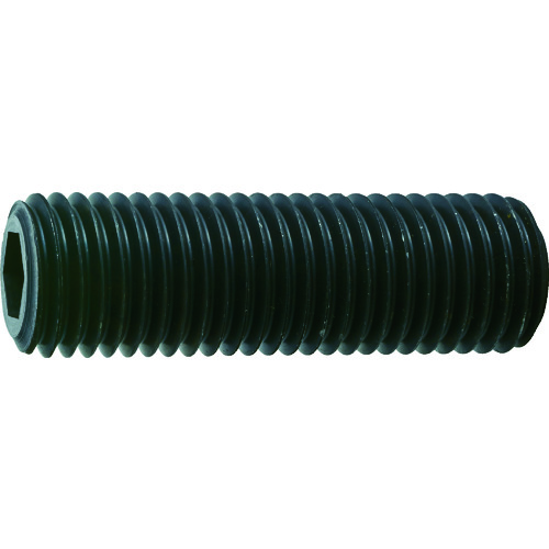 ■ＴＲＵＳＣＯ　六角穴付き止めネジ　平先　スチール　Ｍ２０Ｘ３５　２本入 B632035