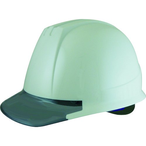 ■ＴＲＵＳＣＯ　ヘルメット　バイザー透明グレー　グレー DPM141JGYGY