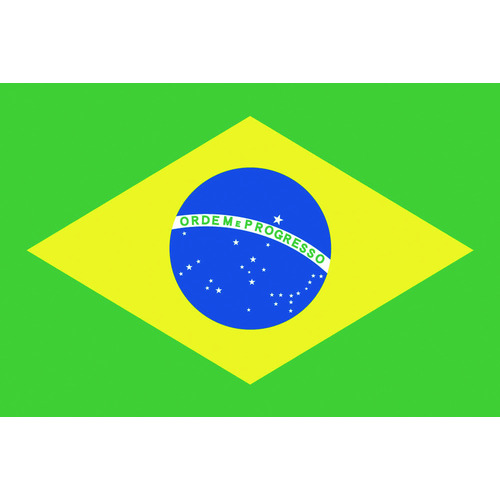 ■東京製旗　国旗Ｎｏ．１（７０×１０５ｃｍ）　ブラジル ７０×１０５ｃｍ