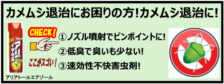カメムシPOP
