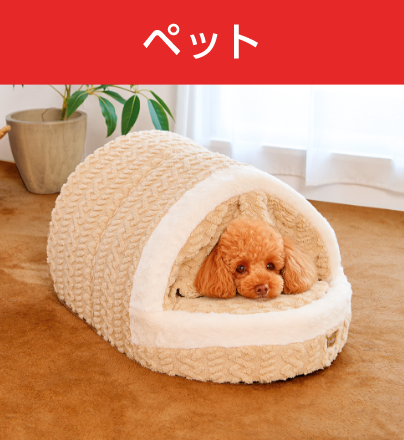 ペット