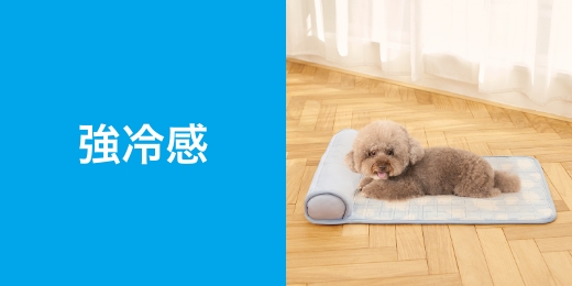 強冷感