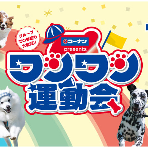 とっても楽しい「ワンワン運動会」を実施いたしました！