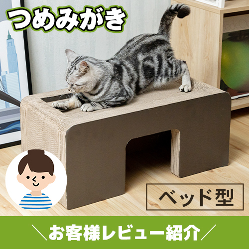 【お客様レビュー紹介】猫ちゃん大好き！ベッド型つめみがき