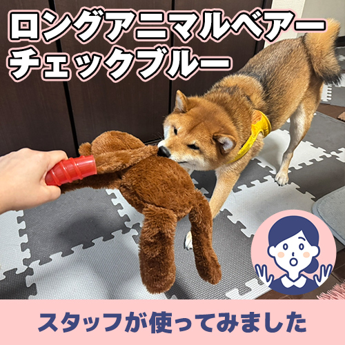 【連載】音がなる！あんこの新しいおもちゃ！ロングアニマルベアー　ーあんこが家にやってきたー