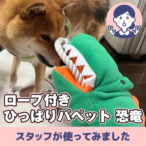 【連載】雨の日は恐竜のおもちゃで遊ぼう！　ーあんこが家にやってきたー