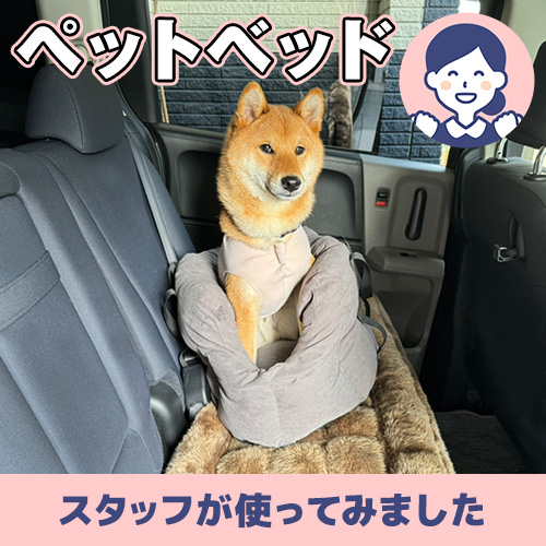 【連載】ぼく専用の特等席!ドライブベッド ーあんこが家にやってきたー