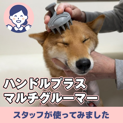 【連載】うっとりしちゃうマルチグルーマー(シャンプーにも) ーあんこが家にやってきたー