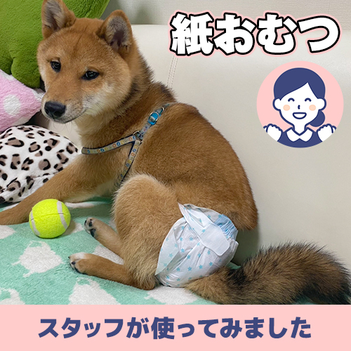 【連載】あんこ流紙おむつの使い方ーあんこが家にやってきたー