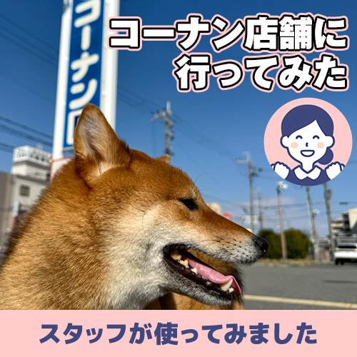 【連載】あんこ、コーナン店舗に行ってみた!の巻 ーあんこが家にやってきたー