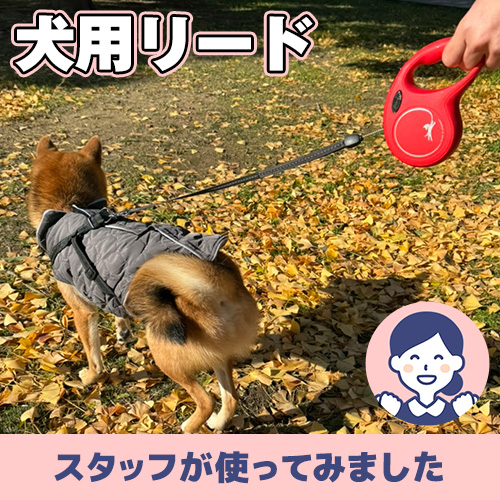 【連載】走れ、あんこ!のびーーーるリード ーあんこが家にやってきたー