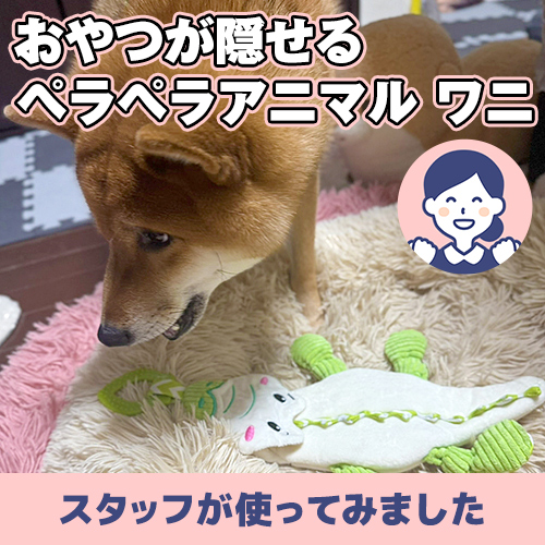 【連載】おやつが隠せる！ペラペラアニマル ワニとあんこの対決ーあんこが家にやってきたー