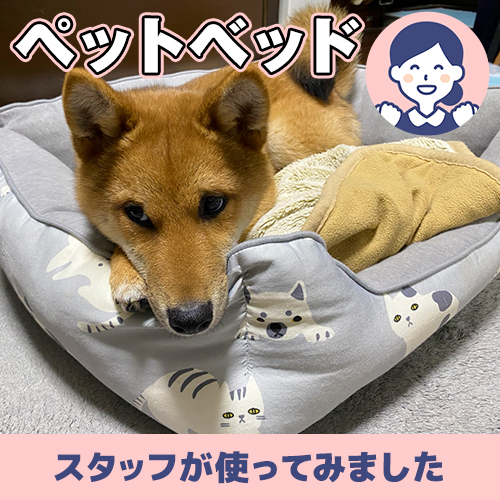 【連載】コーナングッズで揃える!子犬の迎え方ーあんこが家にやってきたー