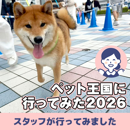 【連載】あんこ「ペット王国へ行く！」の巻　2026　ーあんこが家にやってきたー