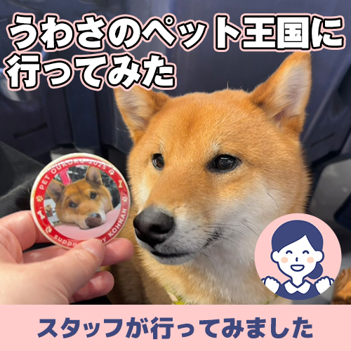 【連載】あんこ「ペット王国へ行く!」の巻 ーあんこが家にやってきたー