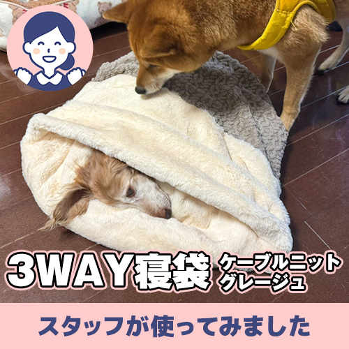 【連載】取り合い注意!3WAY寝袋は誰のもの? ーあんこが家にやってきたー