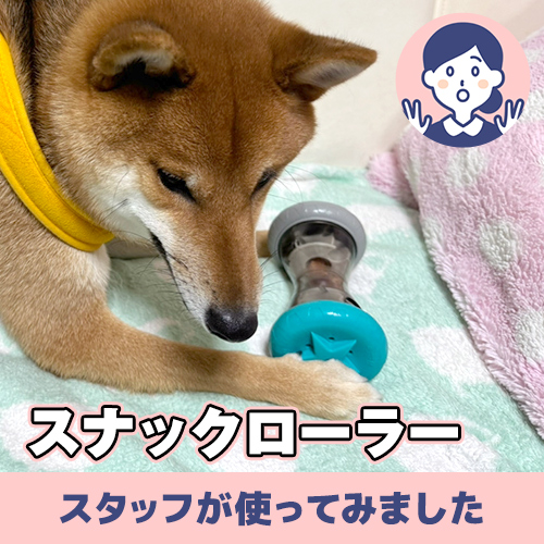 【連載】考えて、遊んで、転がして 大好きなおやつをGET★スナックローラー　ーあんこが家にやってきたー