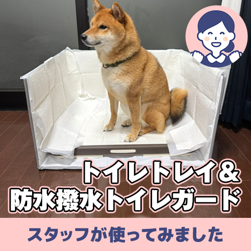 【連載】あんこの雨の日のトイレ事情 ーあんこが家にやってきたー