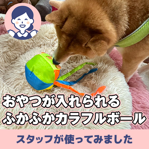 【連載】おやつが入れられる！ふかふかカラフルボールーあんこが家にやってきたー