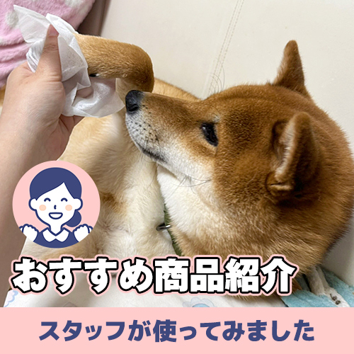 【連載】あんこおすすめ商品を紹介するの巻 ーあんこが家にやってきたー