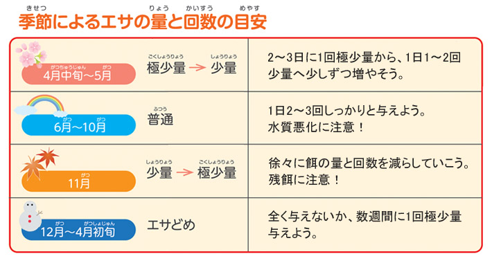金魚を飼おう ホームセンターコーナンの通販サイト