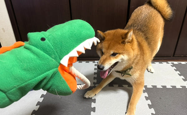 あんこ日記