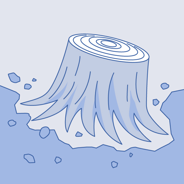 庭木の抜根