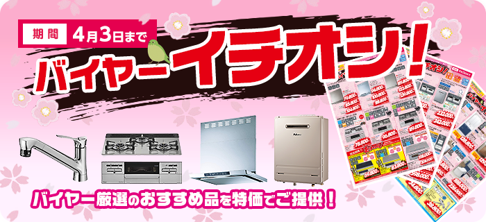 バイヤーおすすめ