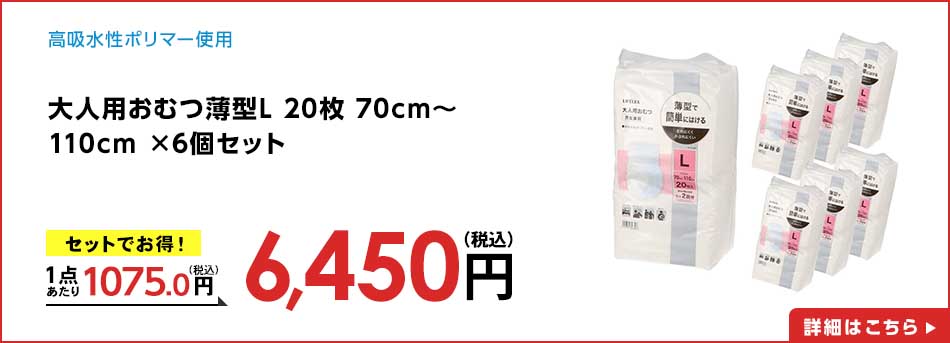 大人用おむつ薄型L 20枚 70cm~110cm ×6個セット