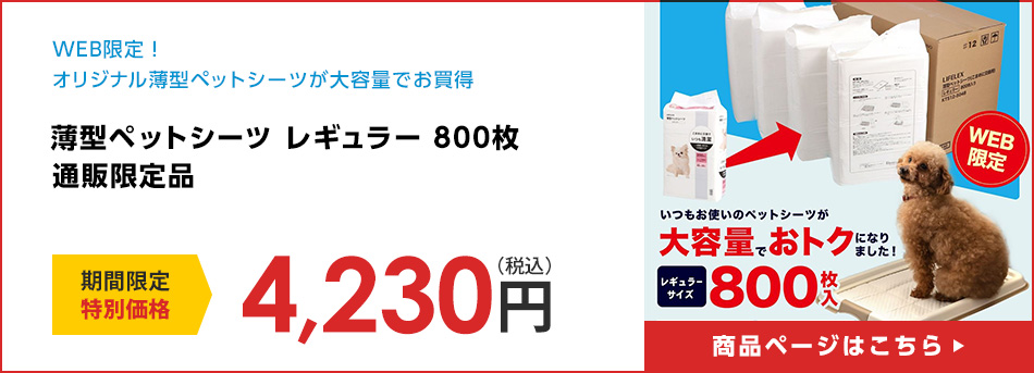 薄型ペットシーツ レギュラー ８００枚 通販限定品