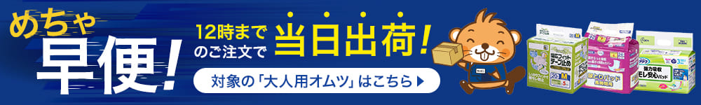 大人用オムツ めちゃ早便対象商品