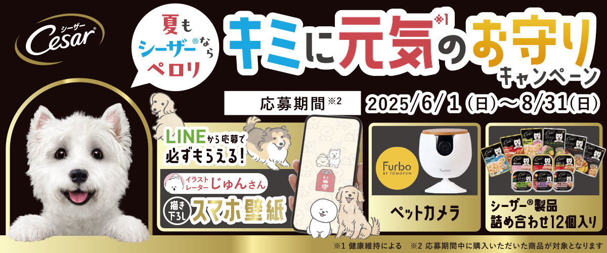 シーザーキャンペーン