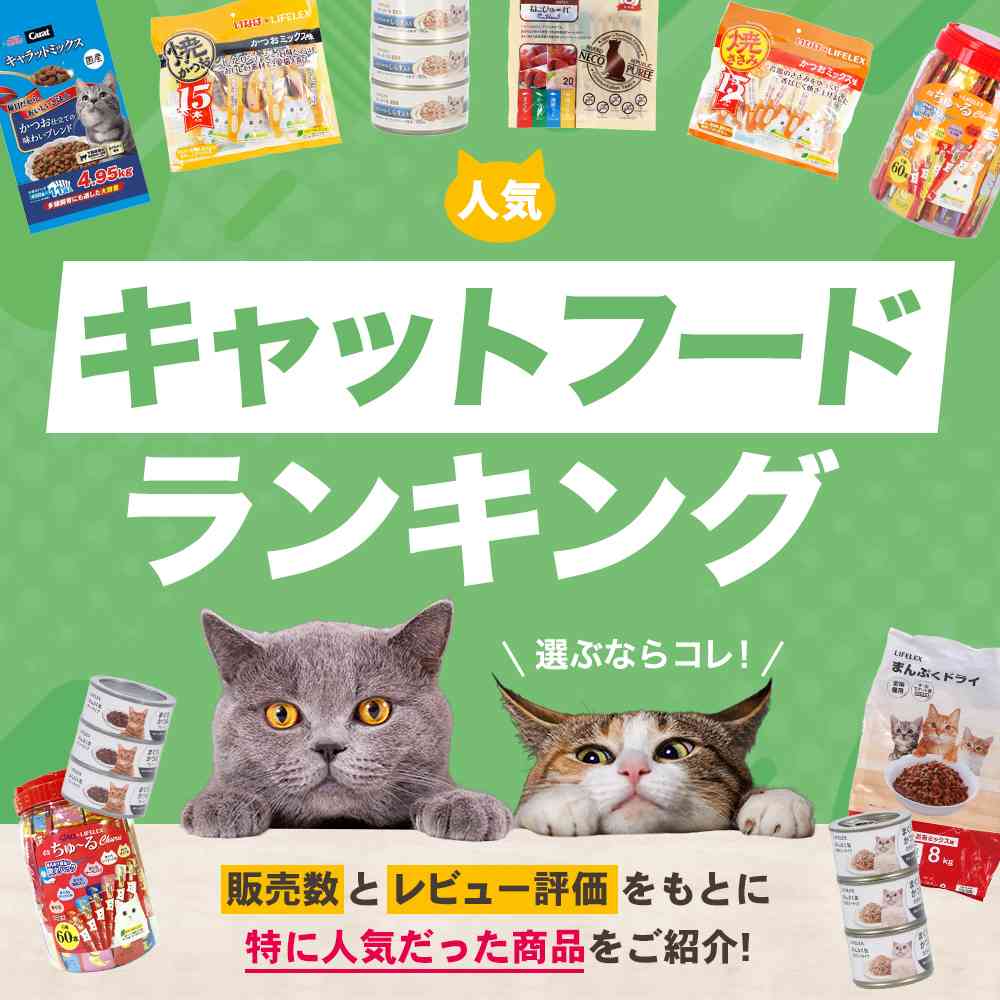 コーナンオリジナルランキングーキャットフード