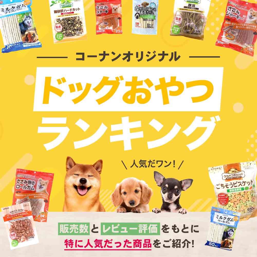 コーナンオリジナルランキング ドッグおやつ