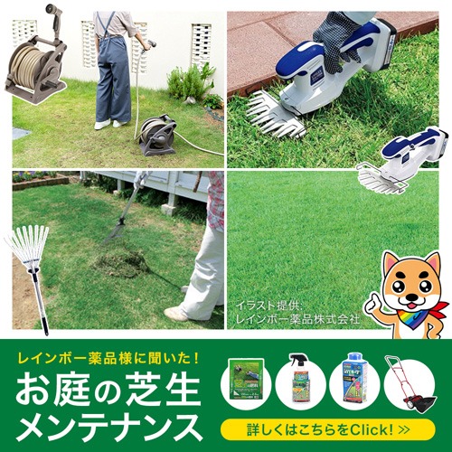 芝生のお手入れ