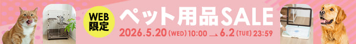 WEB限定セール
