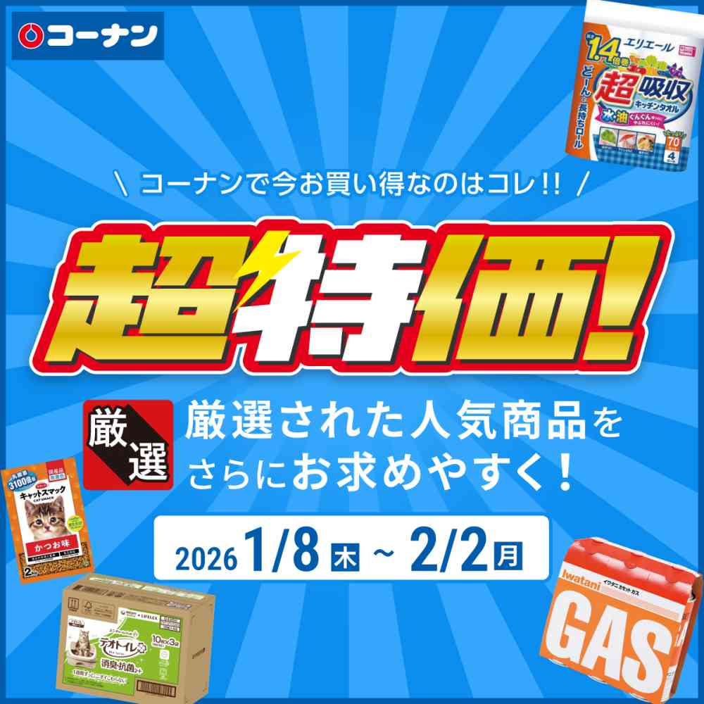 ホームセンターコーナンロングランチラシ１月