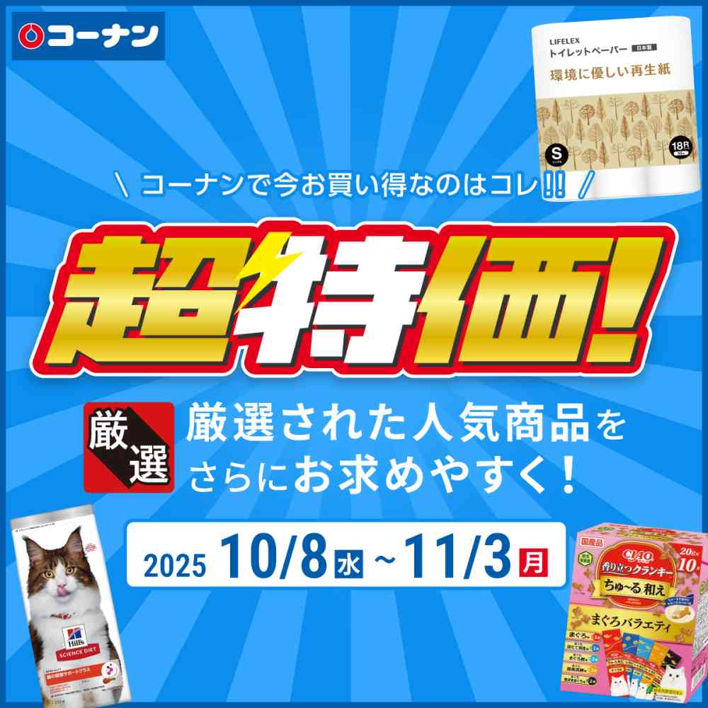 ホームセンターコーナンロングランチラシ１０月