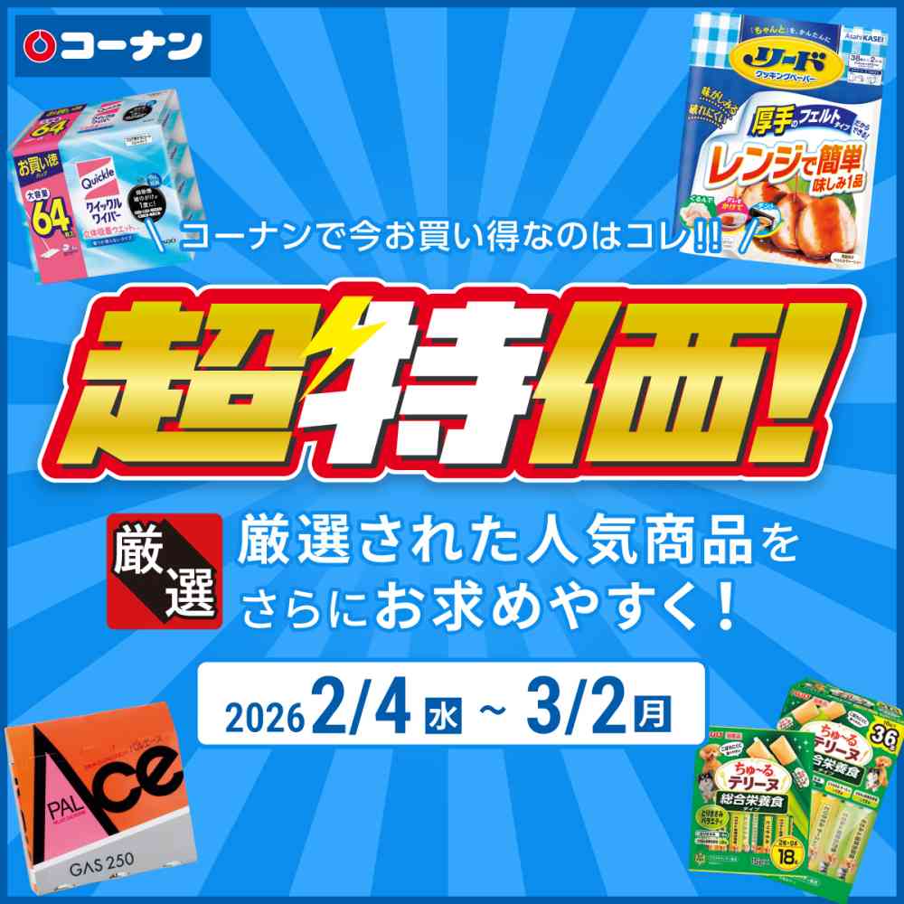 ホームセンターコーナンロングランチラシ２月